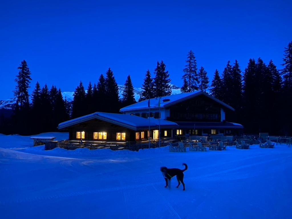 Erezsaesshuette Villa Klosters Dış mekan fotoğraf